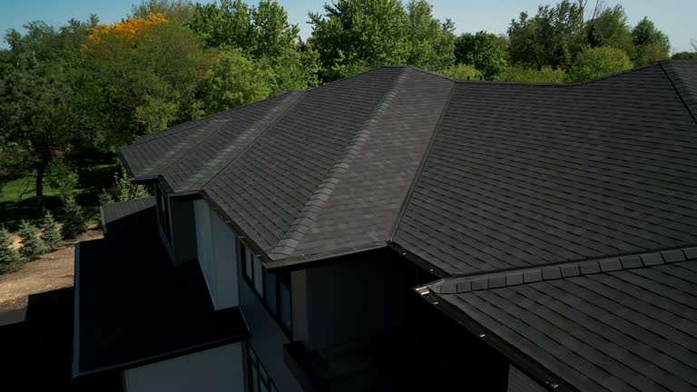 Best Solar Panel Roofing Installation  in Alanes Ridge, CA