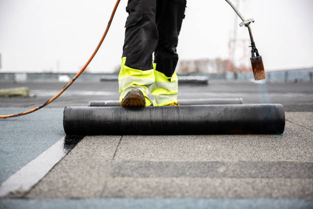 Best Roof Insulation Installation  in Alanes Ridge, CA